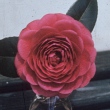 La Esperanza